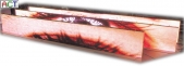 flex_001