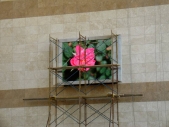 hospital_kuwait_004
