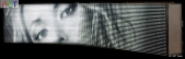 le-go_edelweiss_018_160x32
